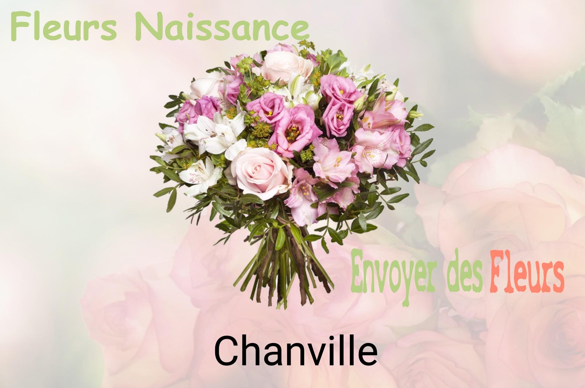 Bouquet de fleurs de naissance livré à Chanville
